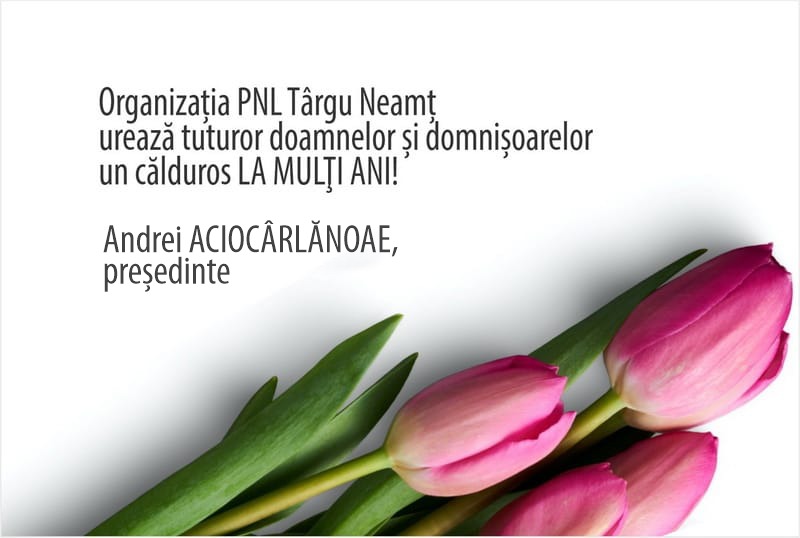 pnl targu neamt corect