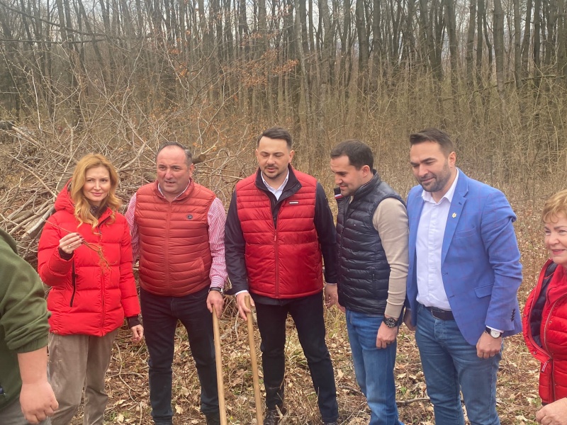 Liderii PSD Neamț, la munca de jos, la plantare de puieți