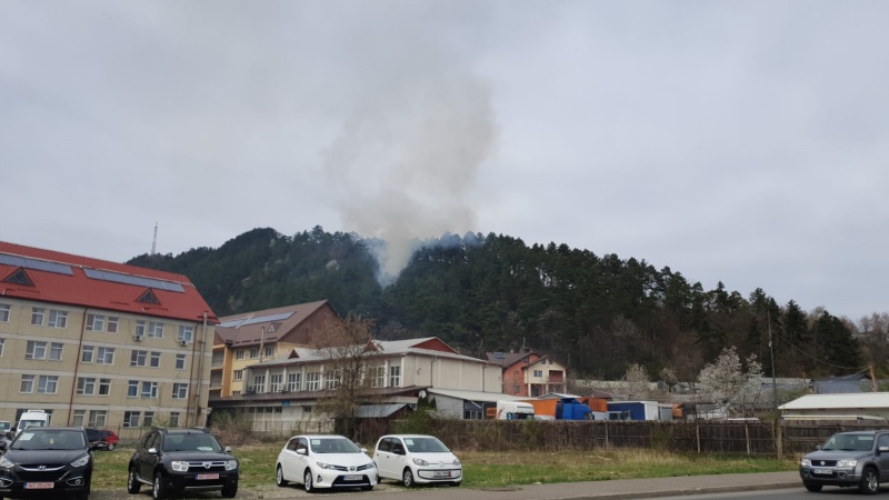 VIDEO. Incendiu de vegetație uscată pe Pietricica