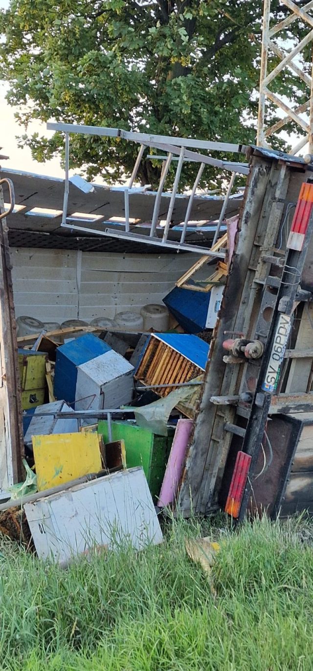 RO ALERT: Nu circulați cu geamurile deschise în zona Hanu Ancuței- pericol de înțepături de albine