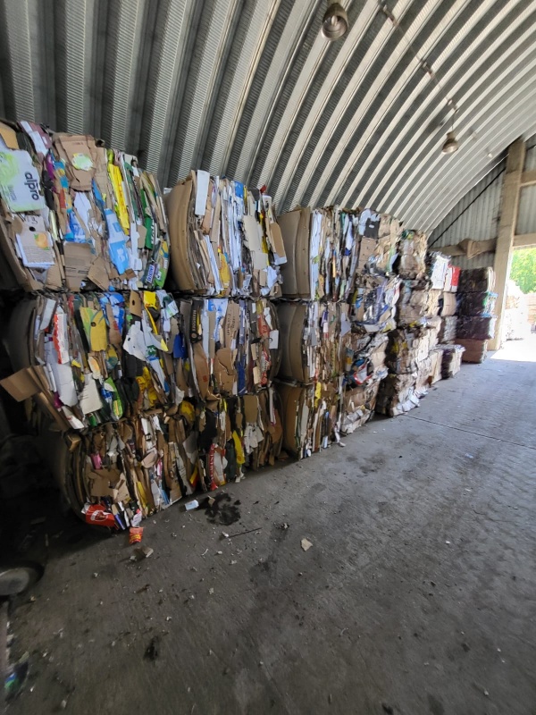 Colectarea și reciclarea deșeurilor &#8211; un viitor mai curat pentru copiii noștri!