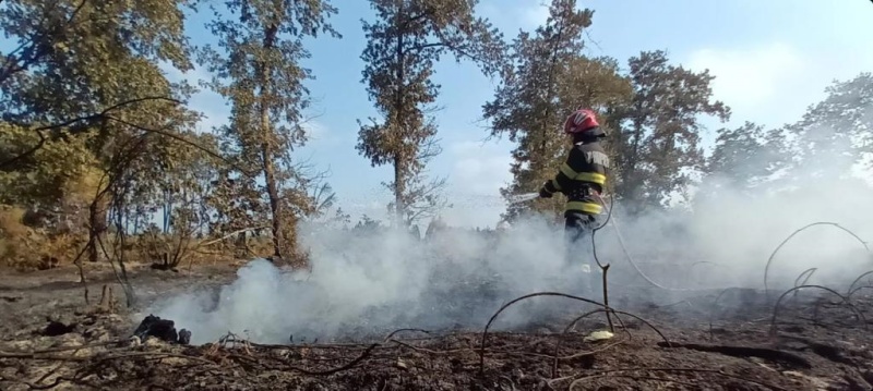 Pompierii nemțeni continuă lupta cu flăcările în pădurile din Franța