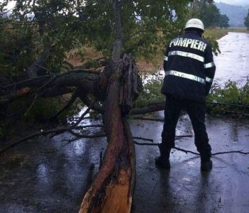 Vijeliile de ieri au afectat alimentarea cu curent electric în 63 de localități din Neamț