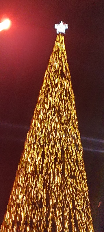 FOTO. Atmosferă extraordinară în Piatra lui Crăciun. S-au aprins luminițele pe Tărâmul Moşului
