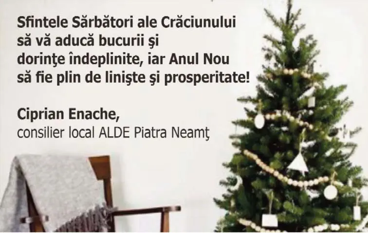 ciprian enache