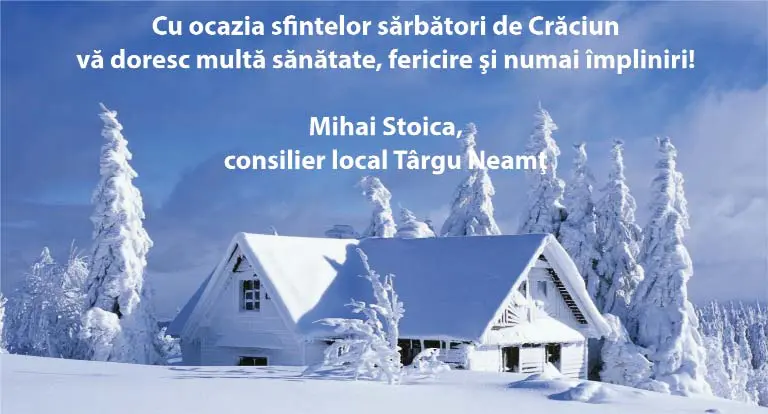 mihai stoica