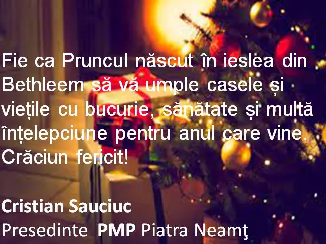 pmp piatra neamt