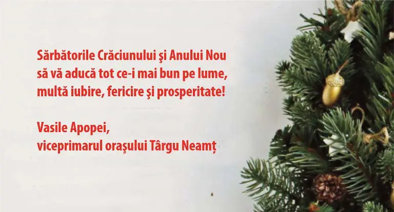 vasile apopei