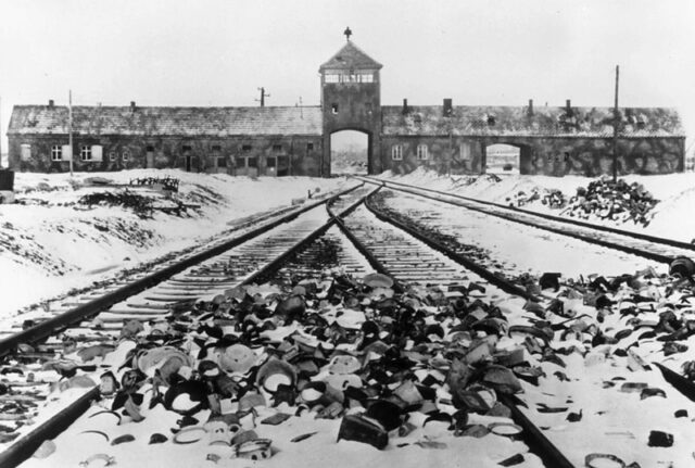 Holocaustul ca istorie și avertisment