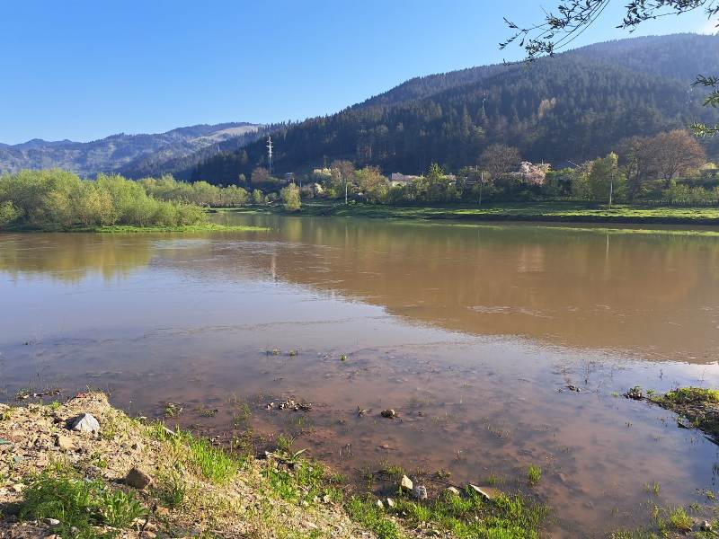 Prefectul județului Neamț anunță primele măsuri după poluarea de pe râul Bistrița