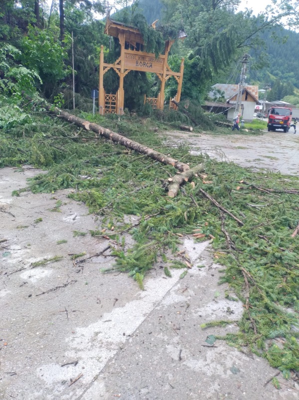 Știre actualizată. FOTO. Furtună în Neamț. Copaci căzuți în centrul orașului Piatra Neamț