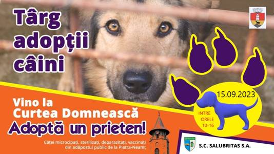 Piatra Neamț: Târg de adopții pentru câinii fără stăpân