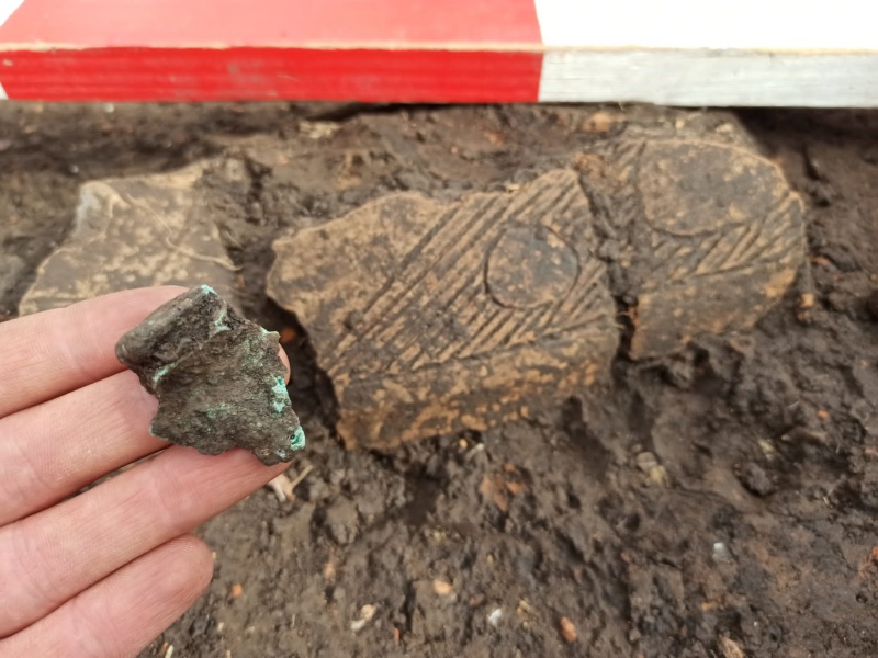 Descoperiri arheologice valoroase și colaborare cu specialiști germani în Timișești-Neamț