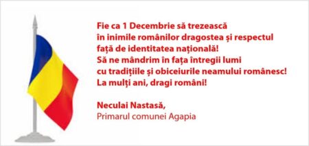Mesajul primarului comunei Agapia, Neculai Nastasă de Ziua Națională