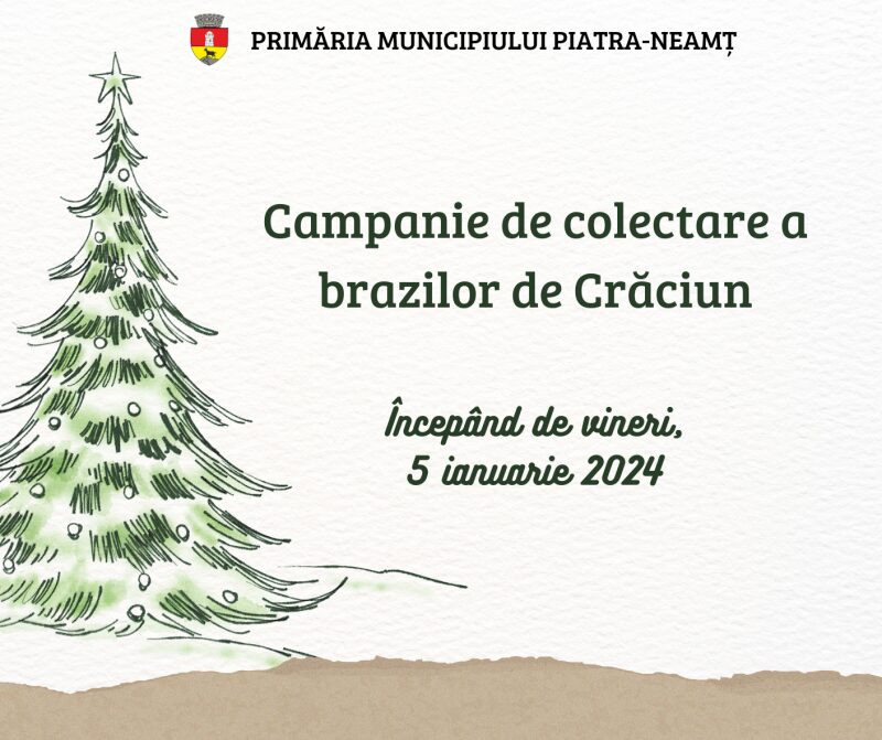 Piatra Neamț. Campanie de colectare a brazilor de Crăciun