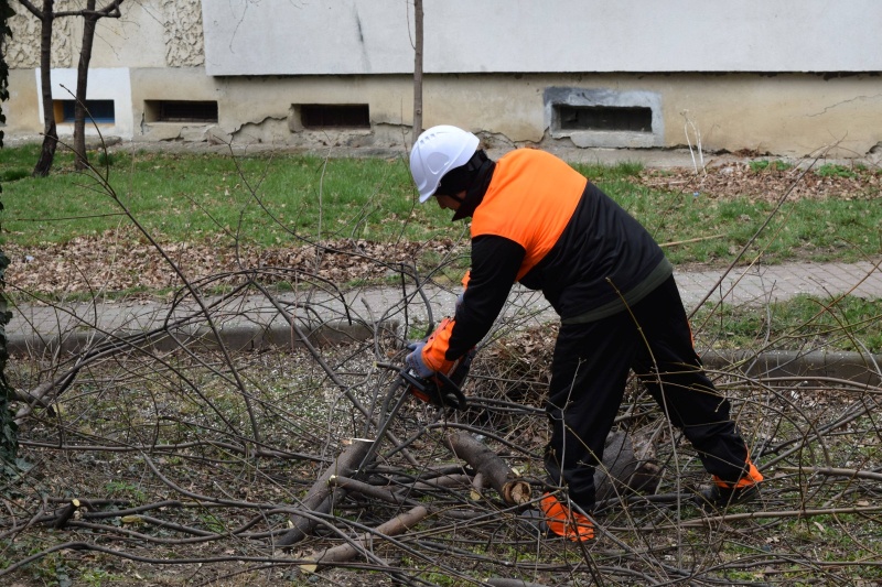 Piatra-Neamț: Toaletări de arbori și pregătiri pentru crearea unei „micro-păduri urbane” WhatsApp Image 2024 03 07 at 13.55.52