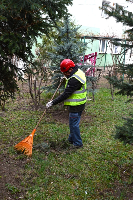 Piatra-Neamț: Toaletări de arbori și pregătiri pentru crearea unei „micro-păduri urbane”