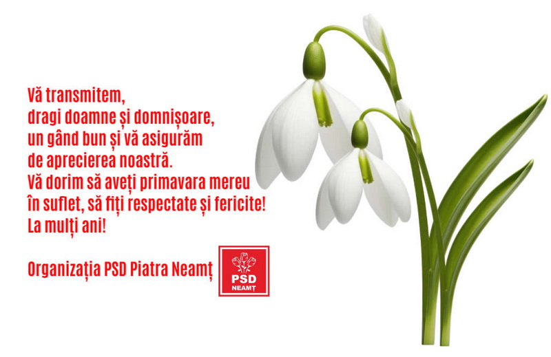 Mesajul de 8 Martie al organizației PSD Piatra Neamț