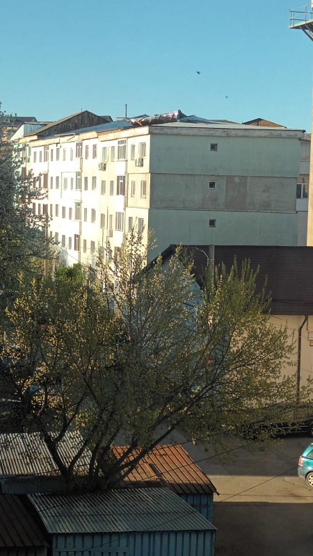 FOTO. Ravagiile vântului în Neamț. Două comune fără curent electric, copaci căzuți, acoperișuri smulse!