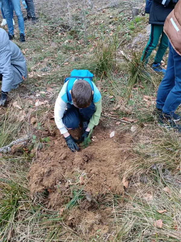 FOTO. Acțiune de împădurire cu elevi, la Ocolul Silvic Pipirig 7 WhatsApp Image 2024 04 06 at 18.33.05 1