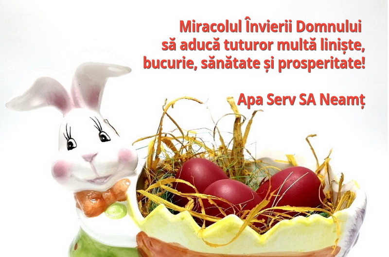 apa serv resize