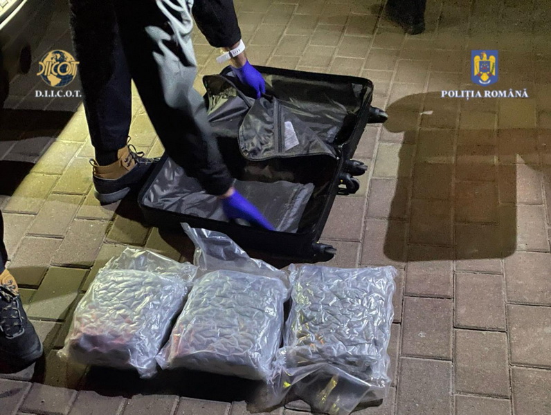 Știre atualizată. Rețea de trafic de droguri destructurată în Neamț / Poliția a confiscat cantități semnificative de cannabis