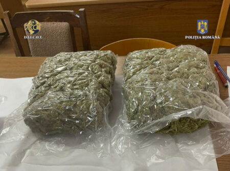 Știre atualizată. Rețea de trafic de droguri destructurată în Neamț / Poliția a confiscat cantități semnificative de cannabis