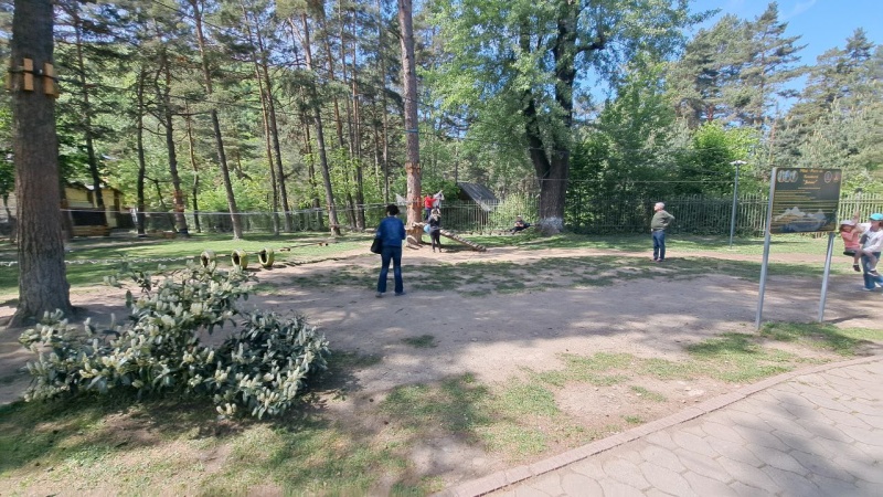 photo 2024 05 01 12 53 07