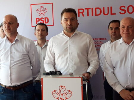 psd sauciuc nita chitic