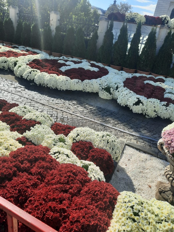 WhatsApp Image 2024 10 11 at 16.20.17 1