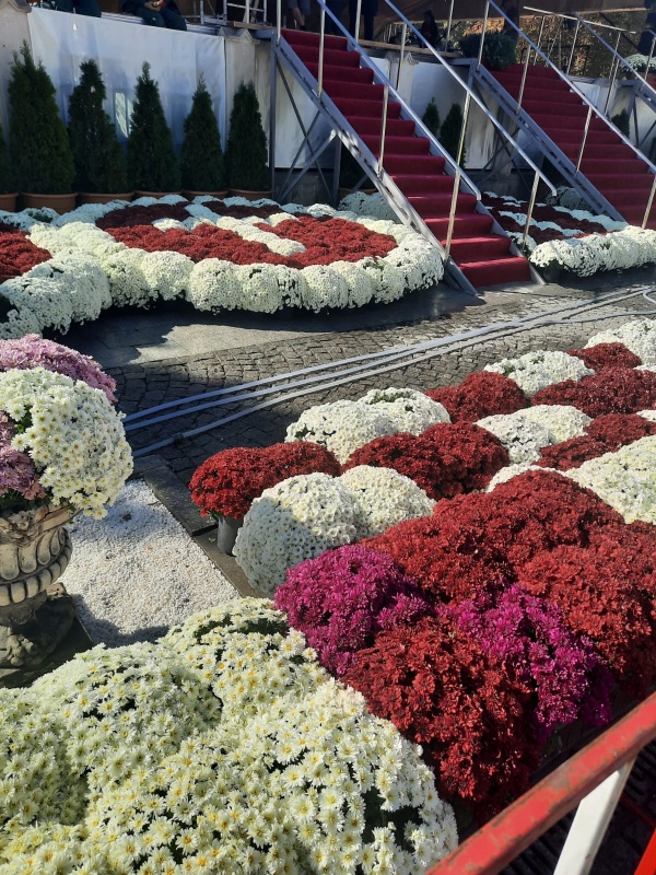 WhatsApp Image 2024 10 11 at 16.20.17