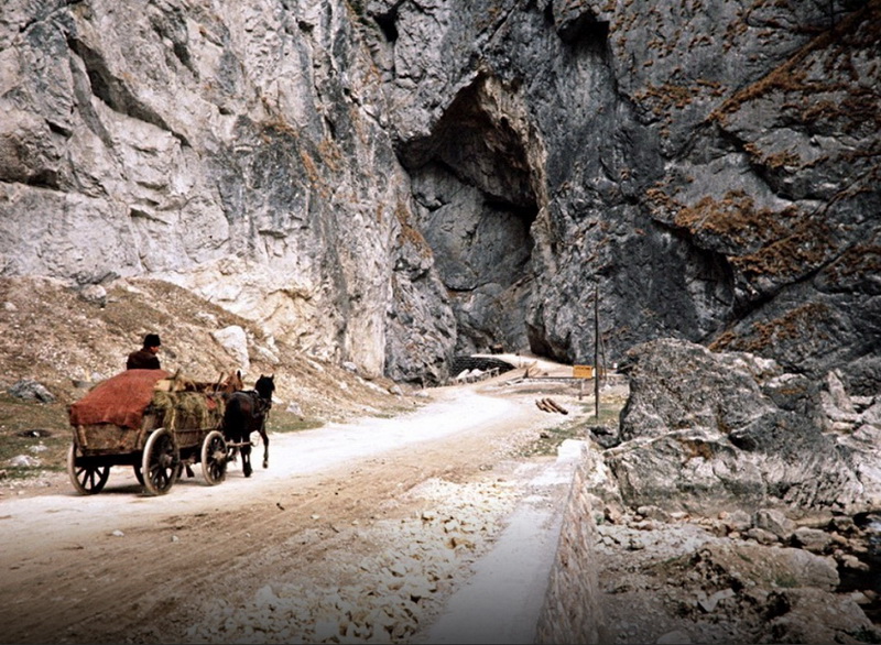 Căruță în Cheile Bicazului