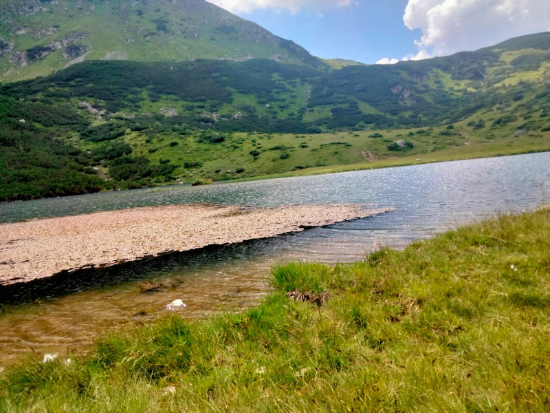 Pribeag prin România / TĂUL ȘTIOL, VÂRFUL GĂRGĂLĂU - MUNŢII RODNEI