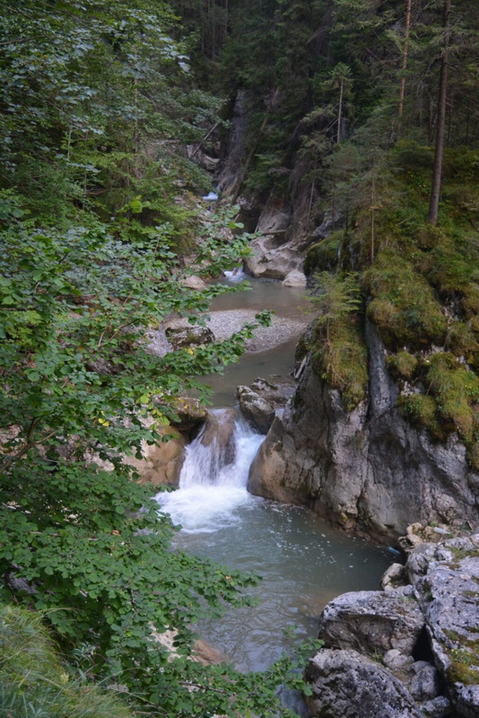 pârâu în pădure