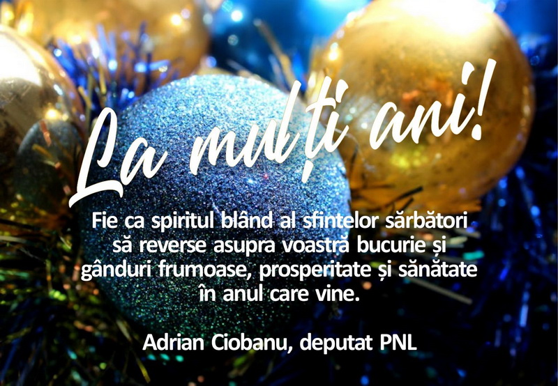 adrian cioban deputat pnl resize