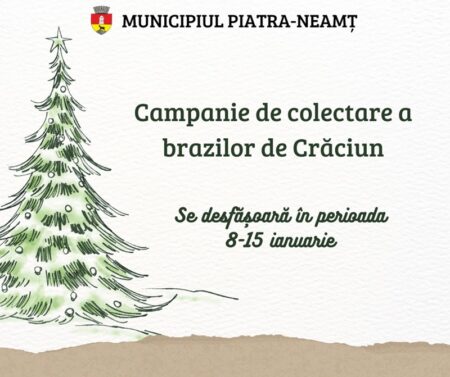 Piatra-Neamț. Campanie de colectare a brazilor de Crăciun