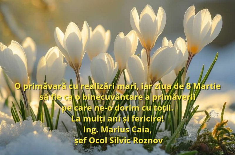 ocol silvic roznov resize