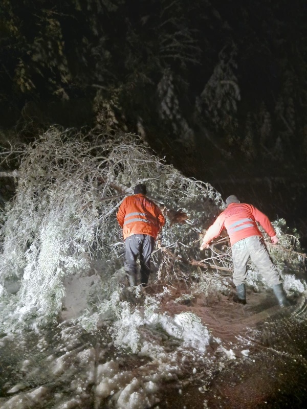 WhatsApp Image 2025 04 06 at 10.13.59