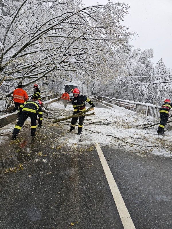 WhatsApp Image 2025 04 06 at 10.16.09