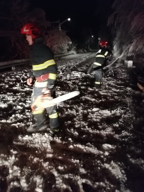 WhatsApp Image 2025 04 06 at 10.16.29