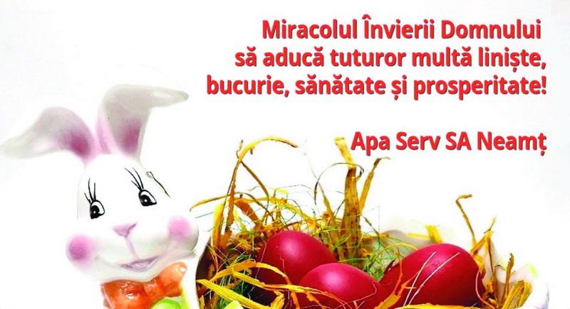 apa serv resize