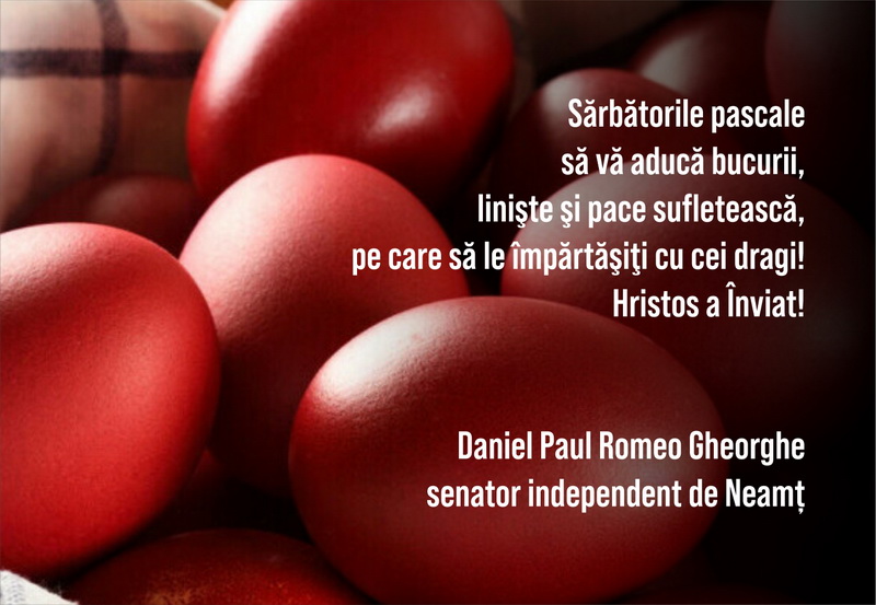 daniel paul romeo resize