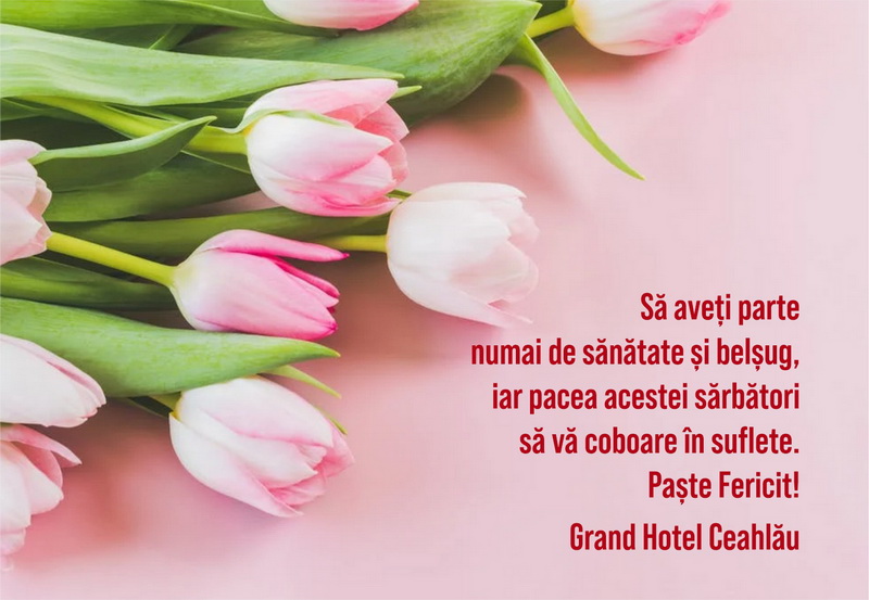 grand hotel ceahlau resize