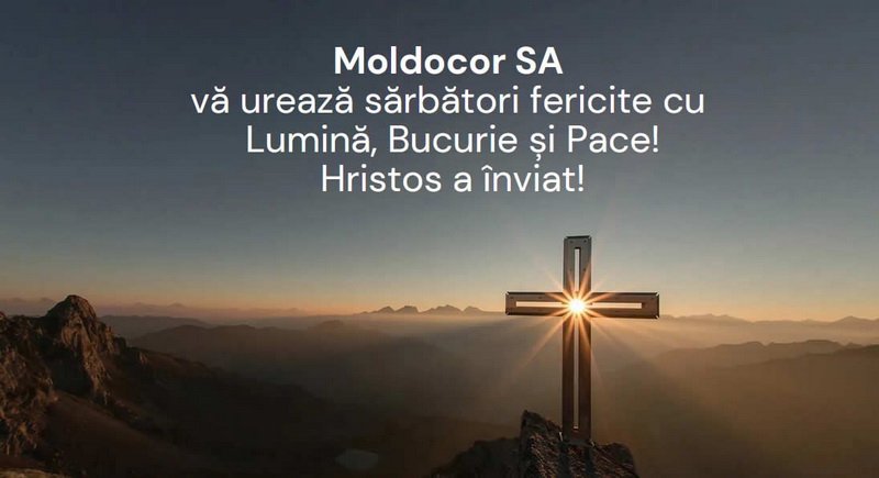 moldocor resize