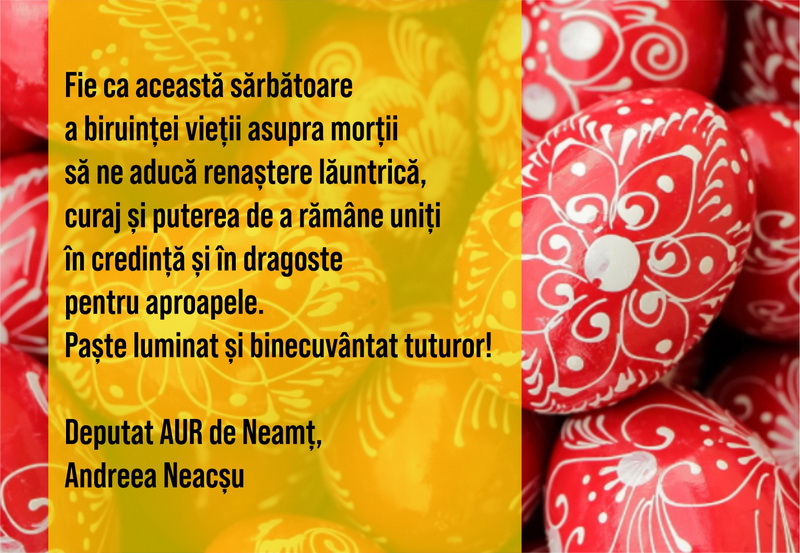 neacsu resize