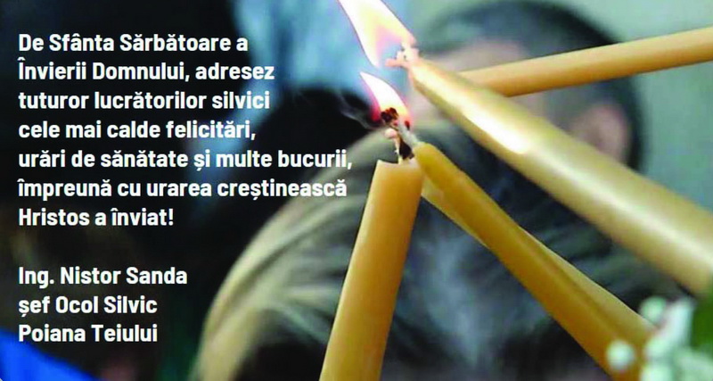 os poiana teiului resize