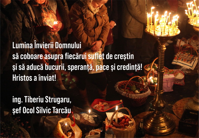 os tarcau resize