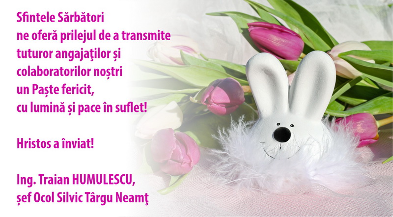 os targu neamt resize