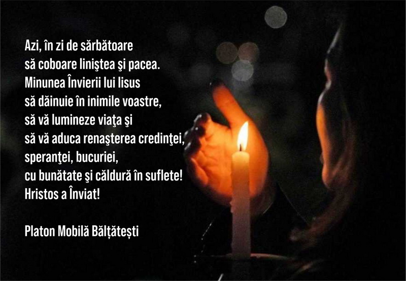 platon resize