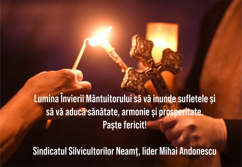 sindicat silvic resize